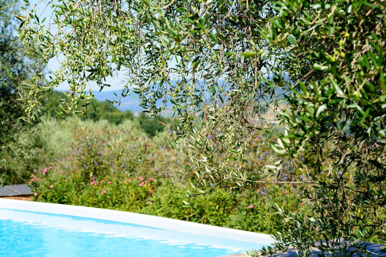 Agriturismo La Pieve Pelago Exterior photo