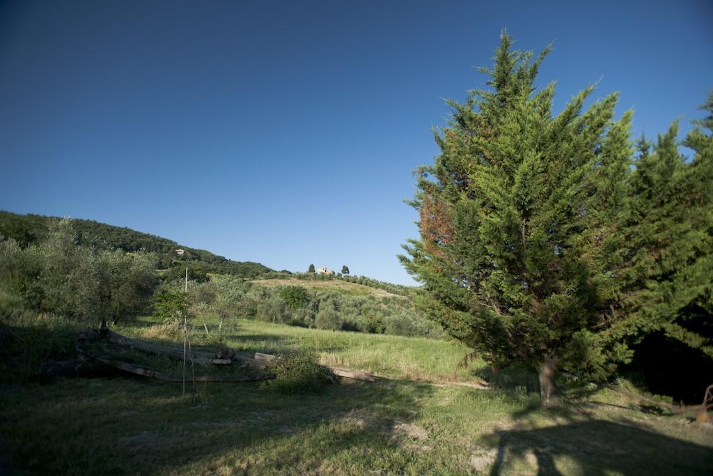 Agriturismo La Pieve Pelago Exterior photo